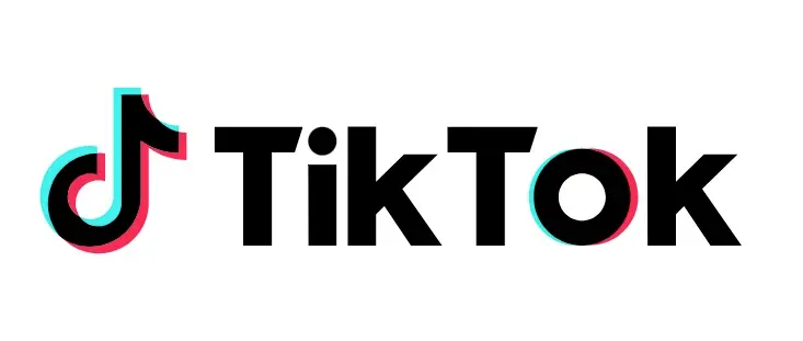 How to use Vietnamese TikTok user data to improve customer acquisition and conversion efficiency? Practical tips!